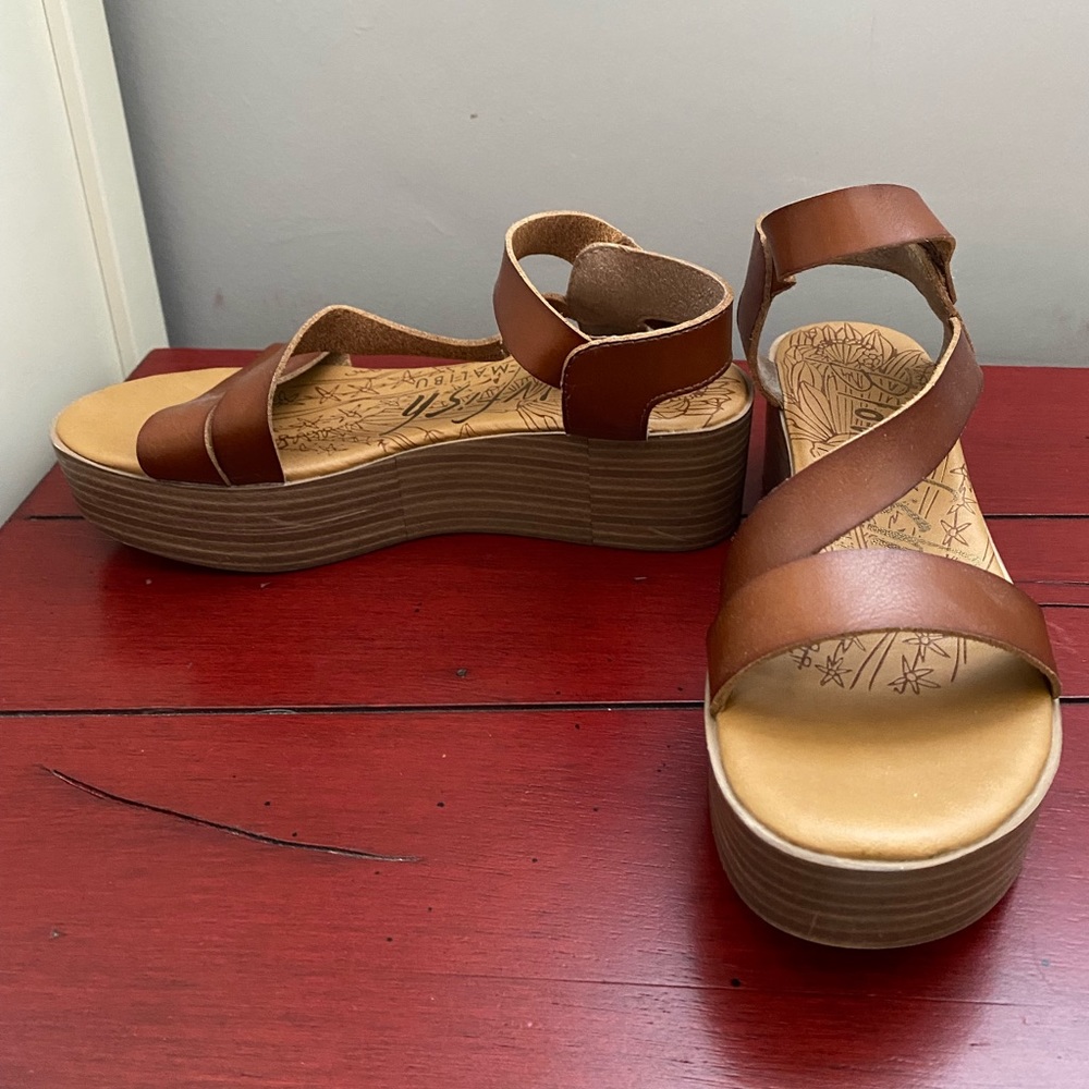 Blowfish Malibu brown platform sandals. Size 8